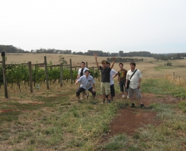 Visiting the vineyard